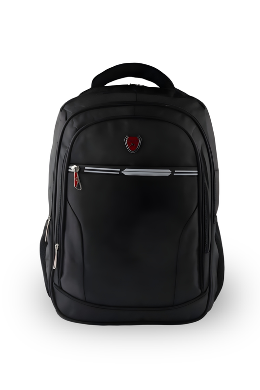 Multi-Compartment Travel & Work Backpack