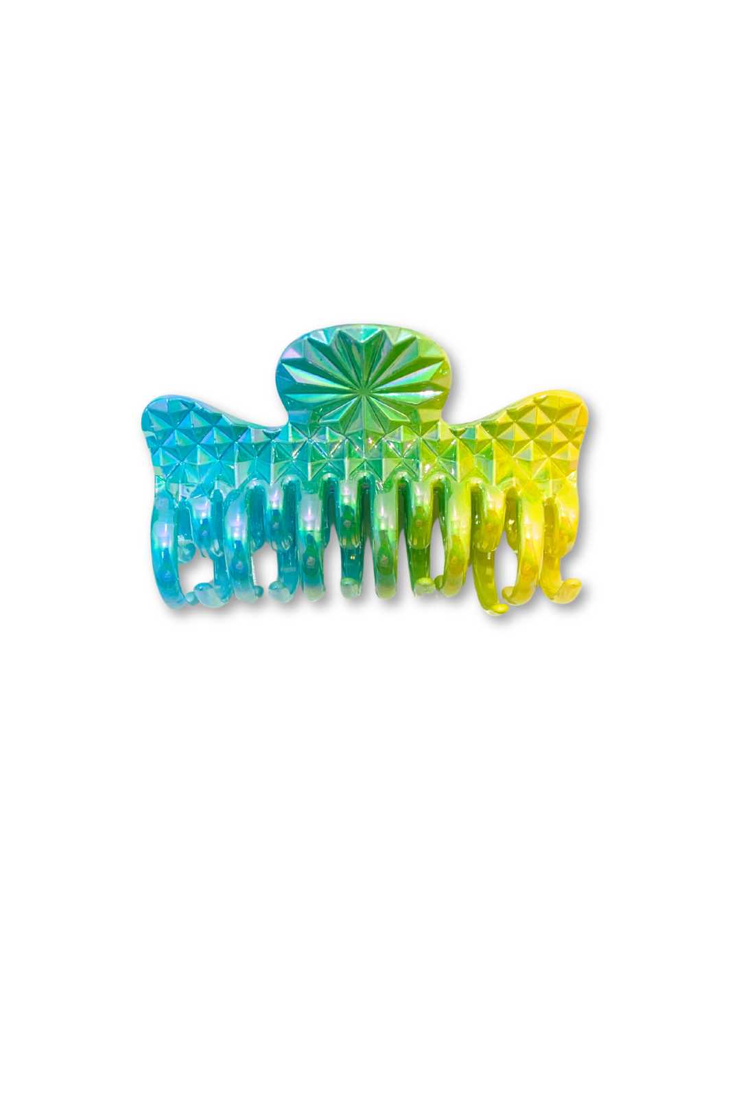 145 19 Hair Claw Clip